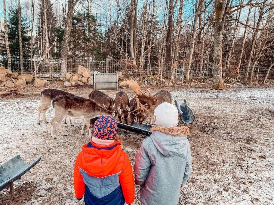 蒂灵厄Damwildfarm In Rollerbue Suedschweden别墅 外观 照片