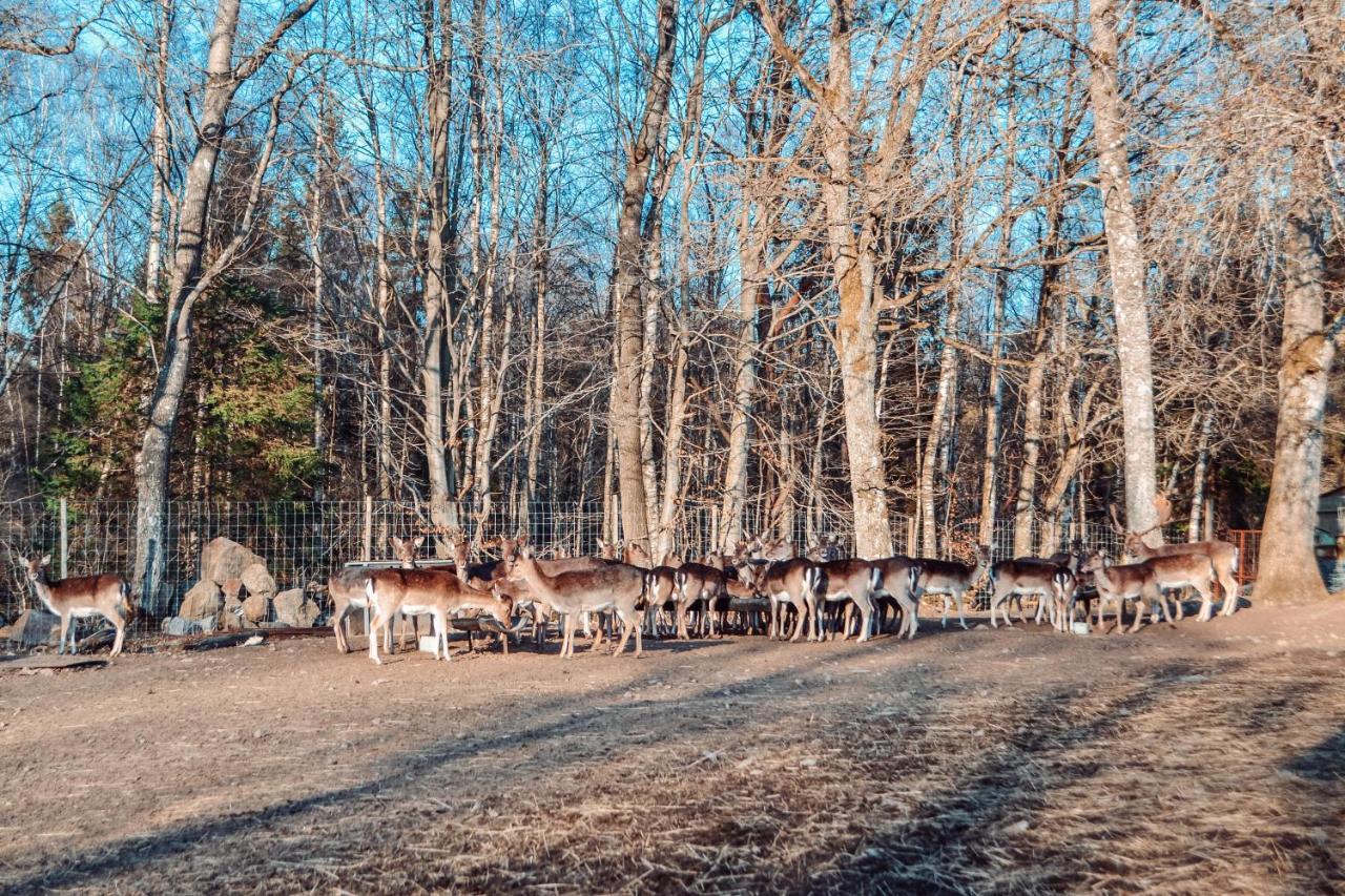 蒂灵厄Damwildfarm In Rollerbue Suedschweden别墅 外观 照片