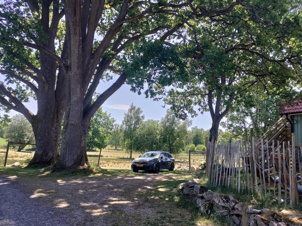 蒂灵厄Damwildfarm In Rollerbue Suedschweden别墅 外观 照片