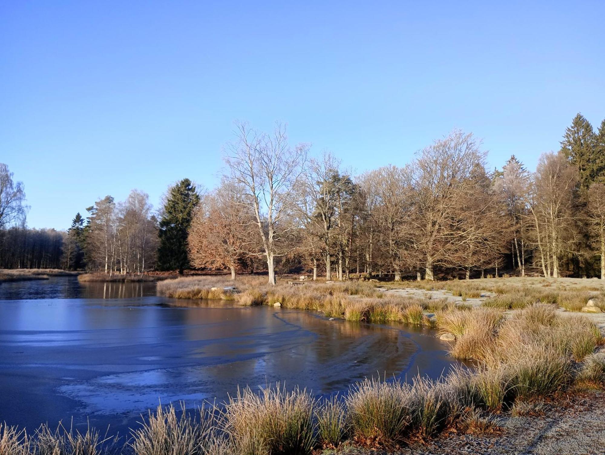 蒂灵厄Damwildfarm In Rollerbue Suedschweden别墅 外观 照片